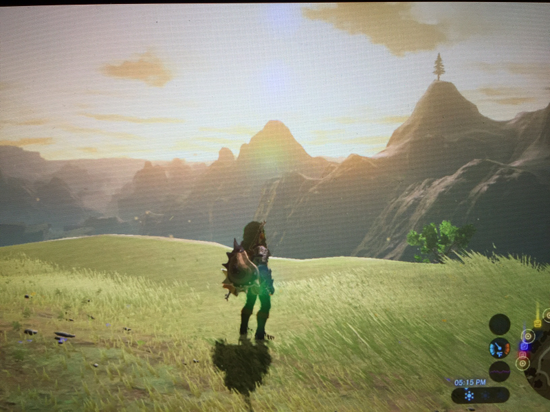 Illustration for article titled Here are Some of my Favorite Screenshots from The Legend of Zelda: Breath of the Wild